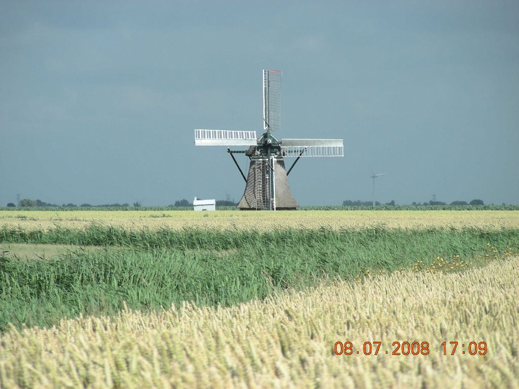 Kimswerd, molen by L53