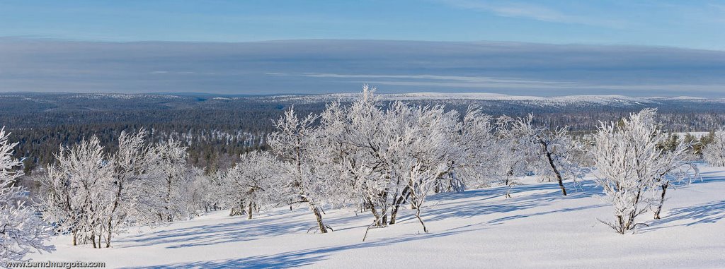 Saariselka Panorama by margobe