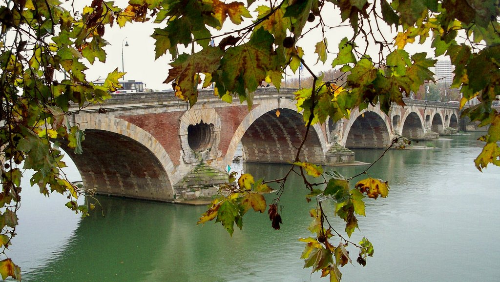 Pont Neuf by gezginruh