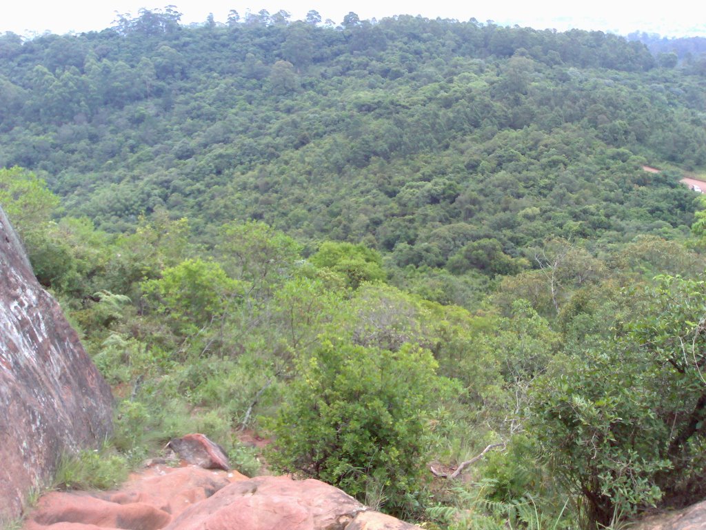 Encosta do monte Sapucaia do Sul by vila progresso