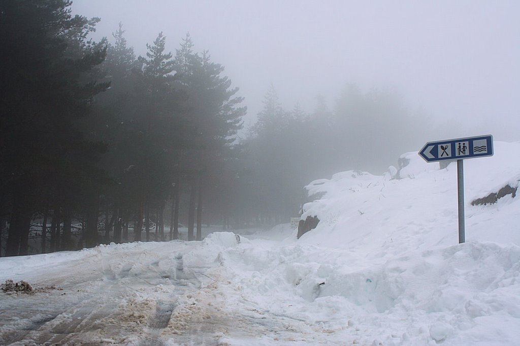 Estrada de neve by placosta