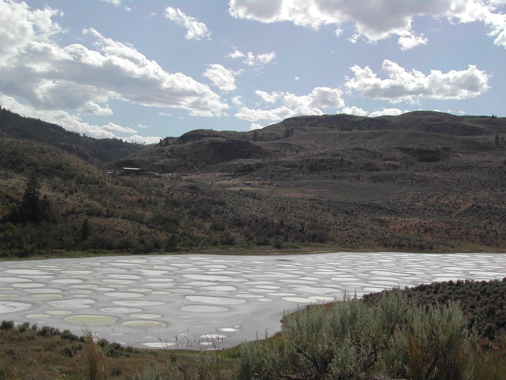 Spotted Lake, B.C. by Sandi_Mc