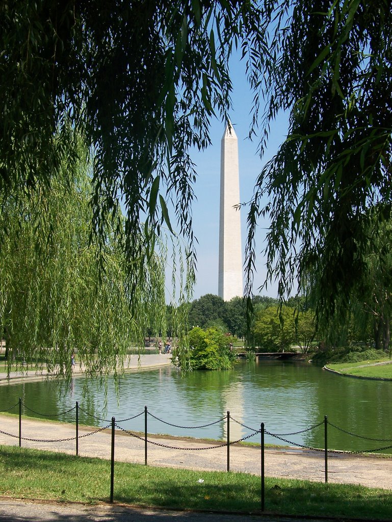 Monument through the willows by elilhamon