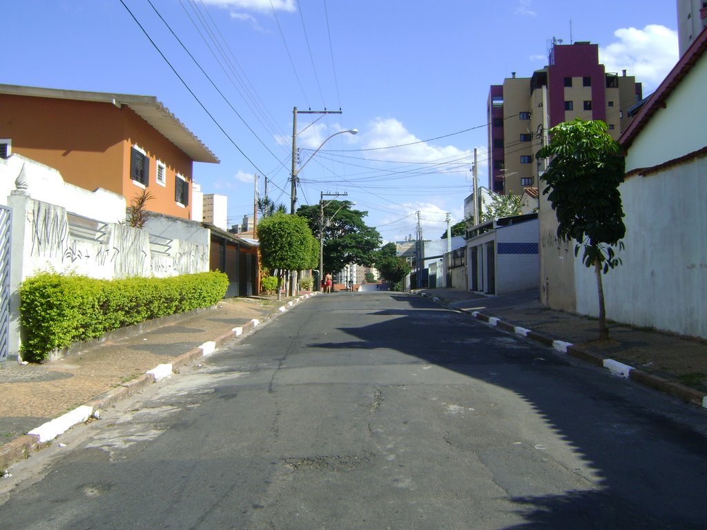 Bosque - R. Silva Manso by Alexander Denarelli