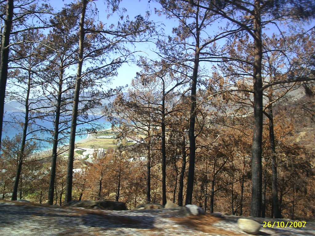 Mersin Bozyazı Tekeli-Tahsin LÖK by Tahsin LÖK