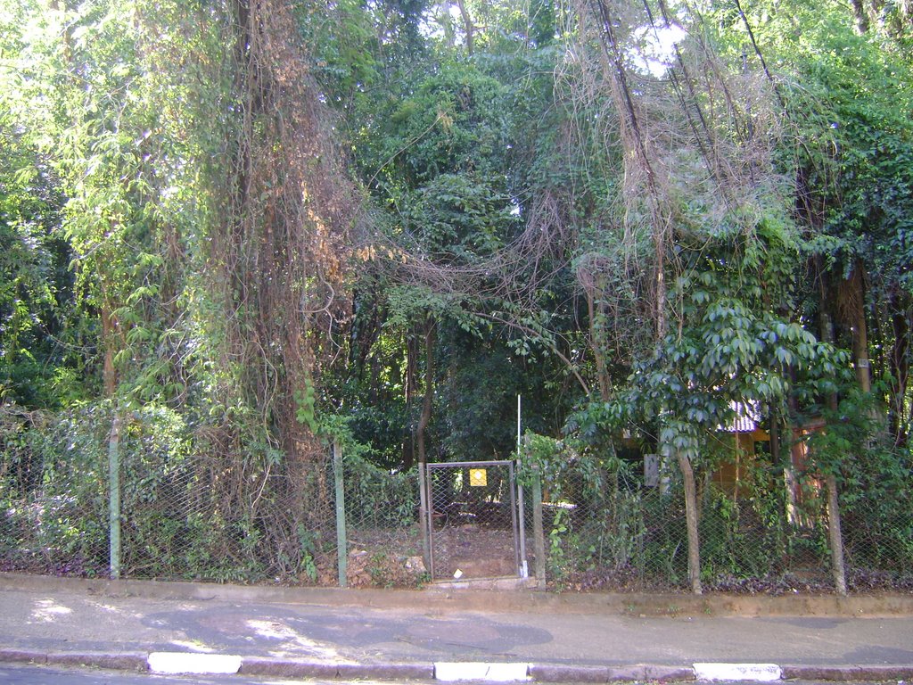 Bosque - Bosque dos Jequitibas - entrada pela R. Pedro Alvares Cabral - inativa by Alexander Denarelli