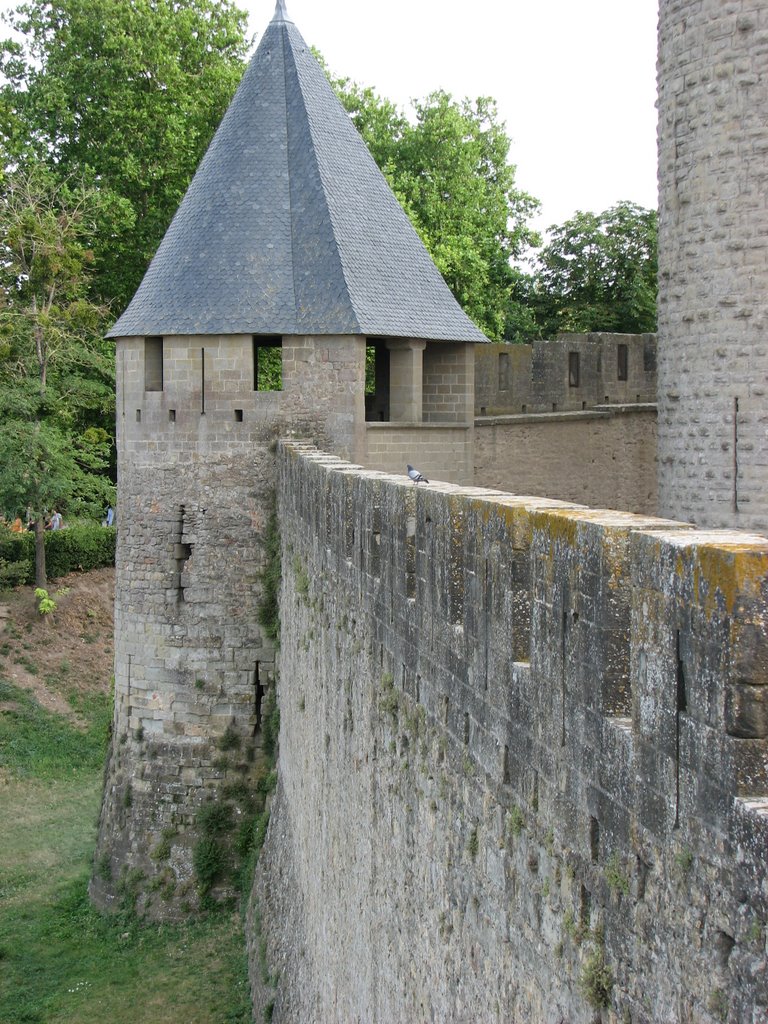 Remparts de Carcassonne by DESRENTES ERIC