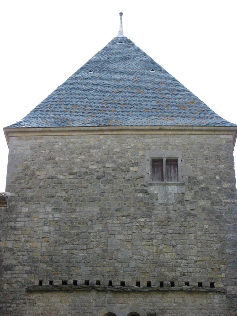 Château de Carcassonne by DESRENTES ERIC