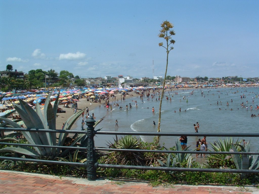 Playas visto desde las Carabelas de Colon by microstan