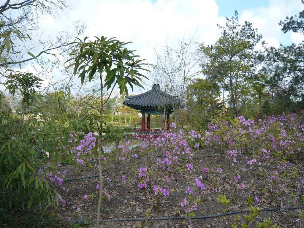 PARC DU GRAND BLOTTEREAU. by groslolo