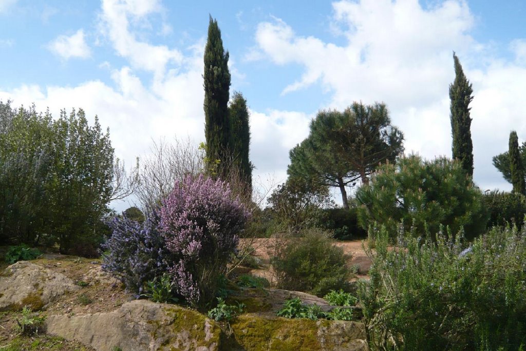 PARC DU GRAND BLOTTEREAU by groslolo