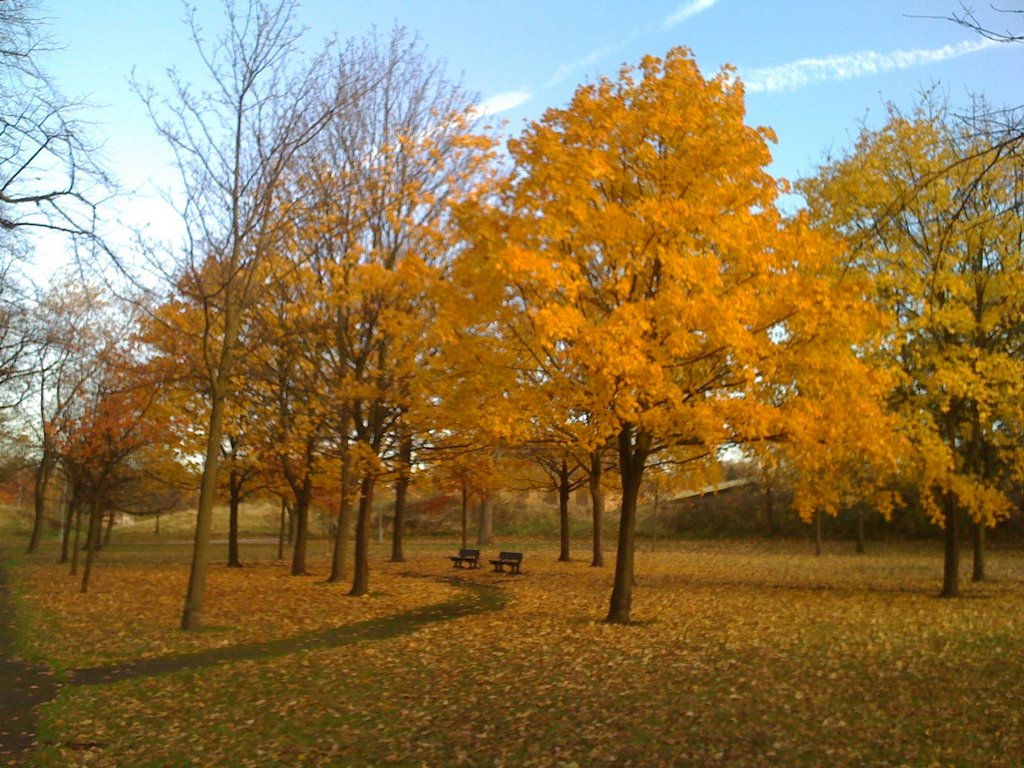 Autumn in Markfield Park by soul-tan