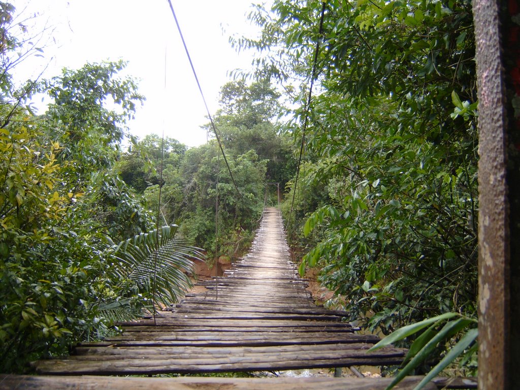 Puente Colgante Comunidad Oro Verde by Ricardo Guillén