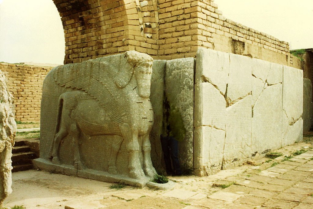 Nimrud, Assyrians Bas-reliefs a by jerzyt21