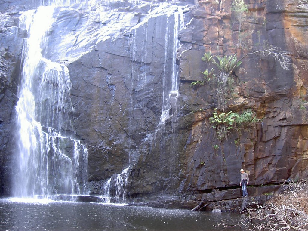 Mckenzie falls by KaasGaaf