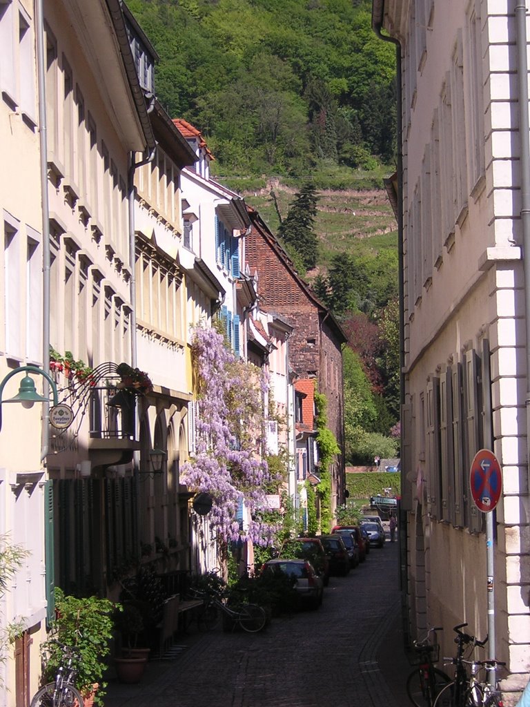 Heidelberg (Germany), april 2007 by rdaniel