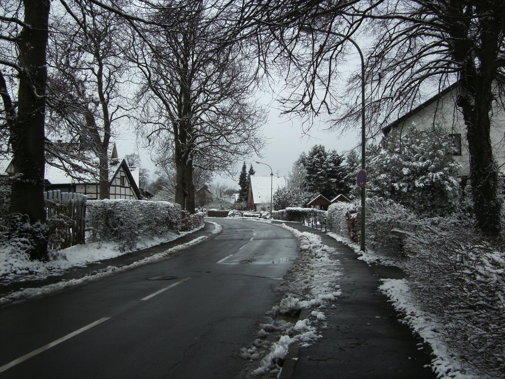 Lammerskreuzstraße by panamorio77