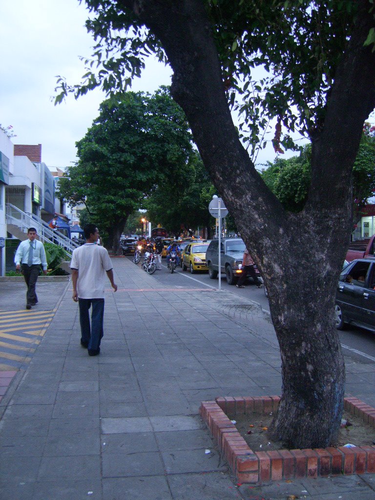 Caminando Por La Avenida Cero by jota05