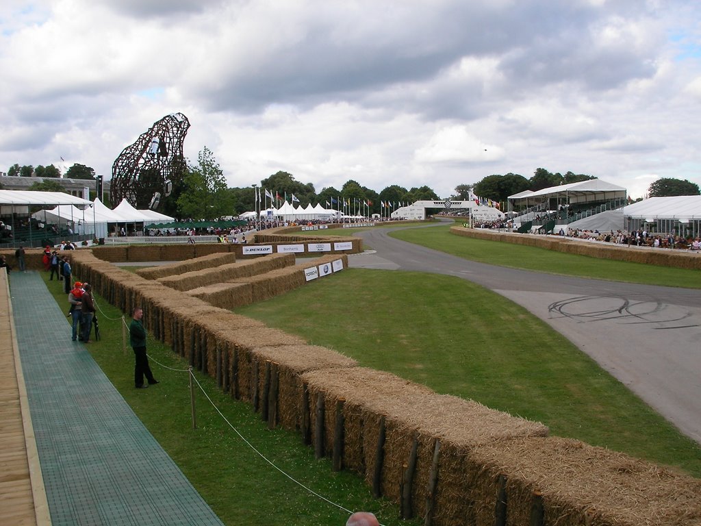 Goodwood Festival of Speed - July 2008 by Neil Hunter