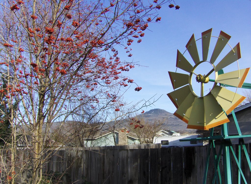 Mom's Backyard Windmill by Logarstool