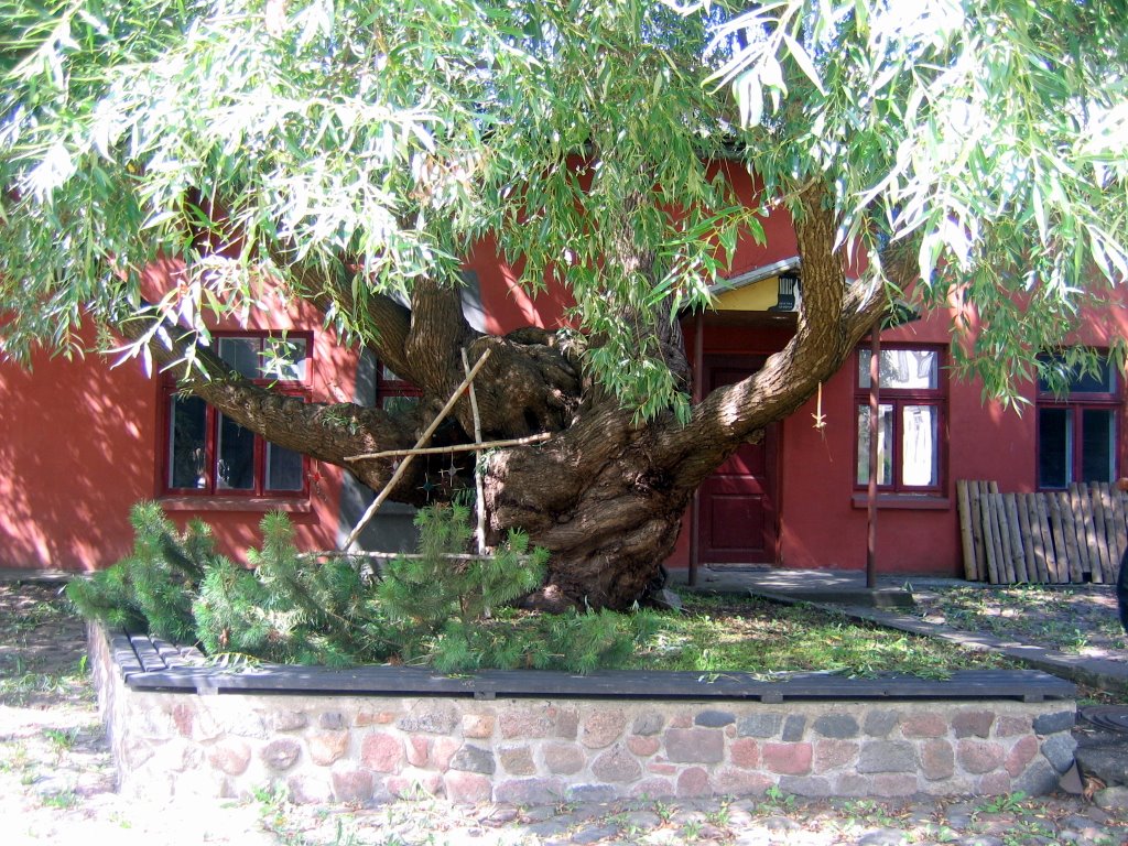 Liepāja. "Namīns" - Folklore Centre (indoor) by vipe