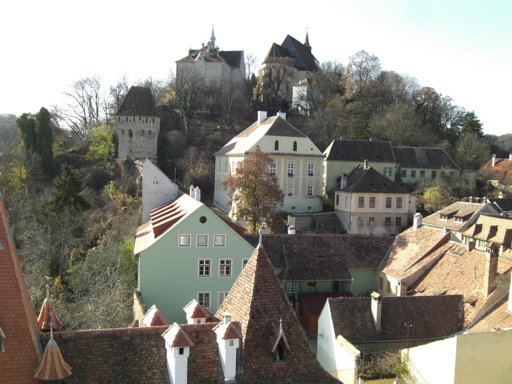 Sighișoara, România by musca.ro by www.camin-pentru-bat…