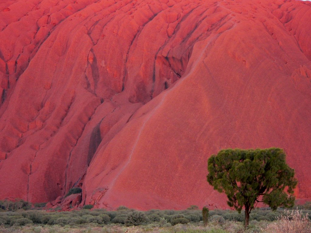 Uluru sunset colors - only to see for 1-2 minutes as the sun is just disappearing behind the horizon by János Hajas