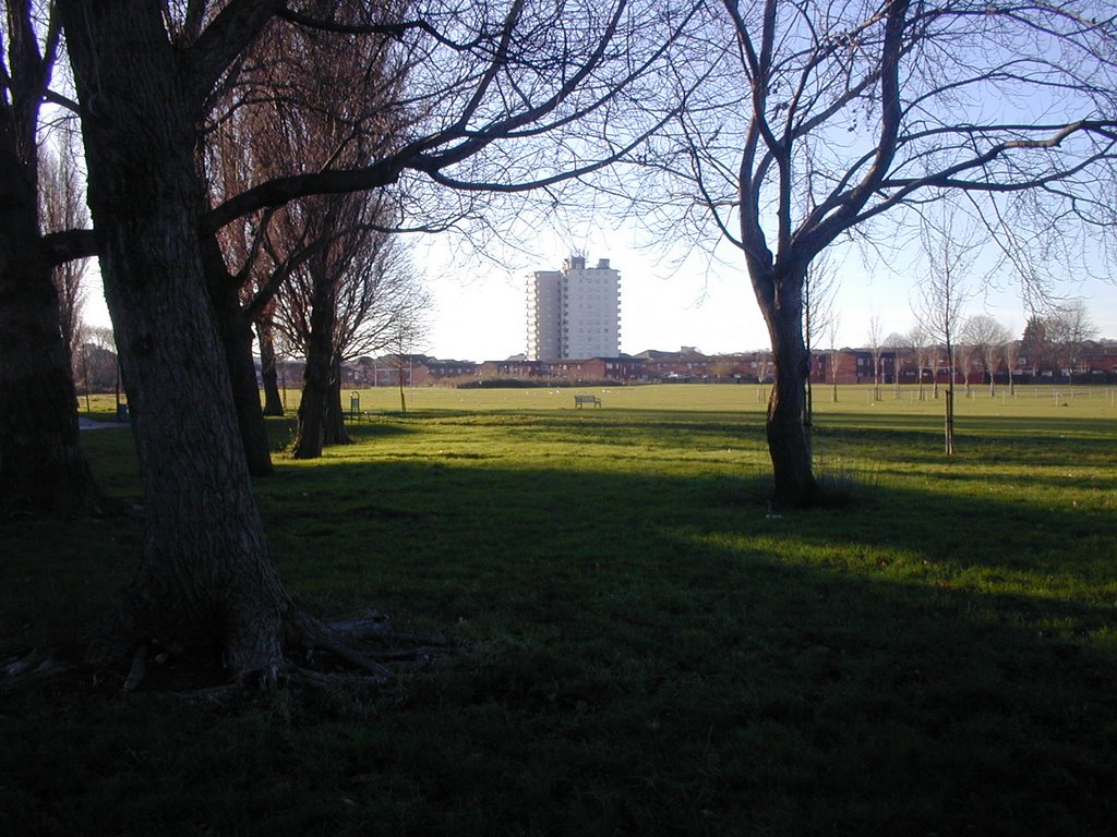 The marl & channel view flats by fat freddys other cat