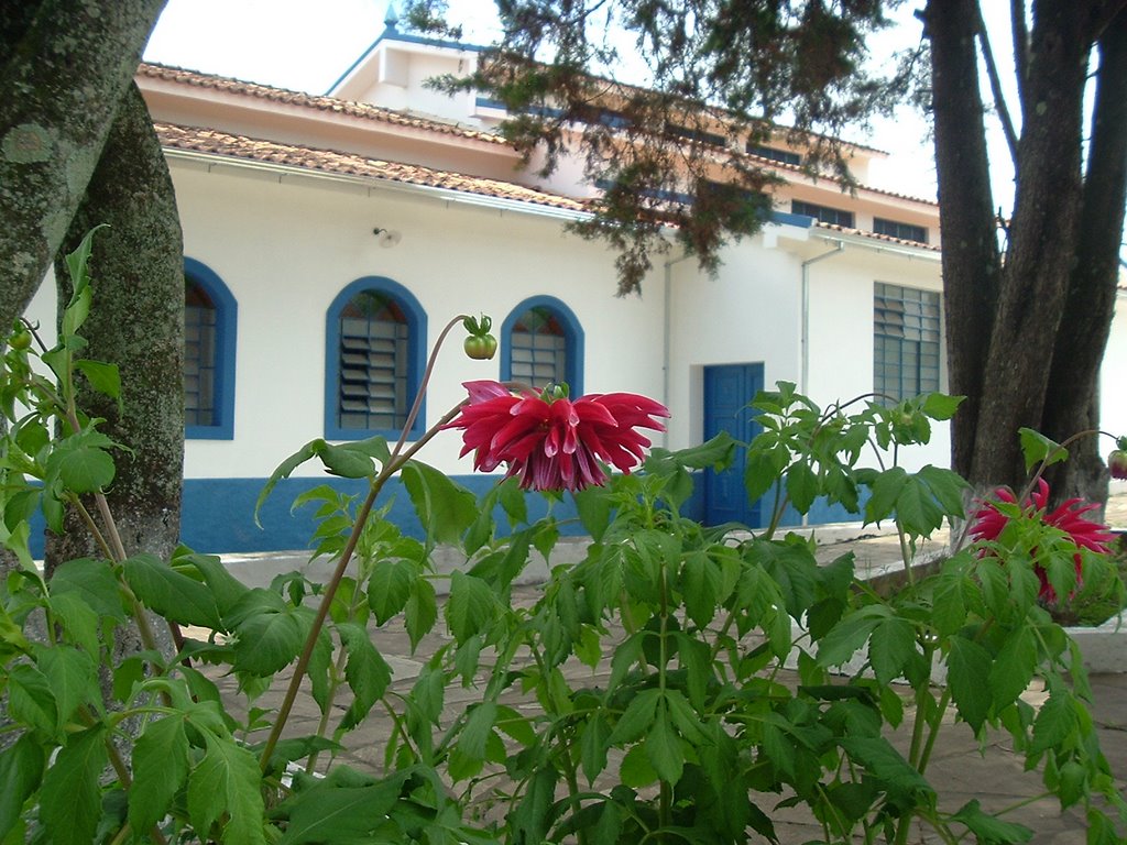 Detalhe Jardim da Igr. Matriz - Santo Antônio do Leite - Ouro Preto - MG by Rogério Santos Perei…