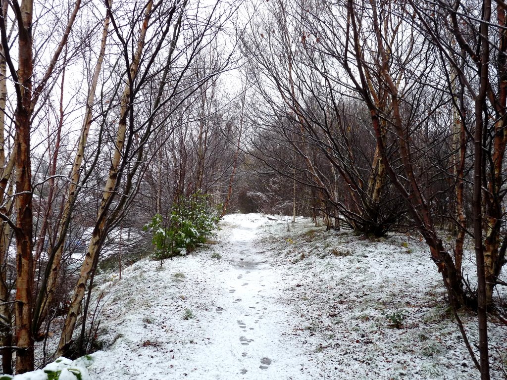 Winter Footpath by The Great Glen