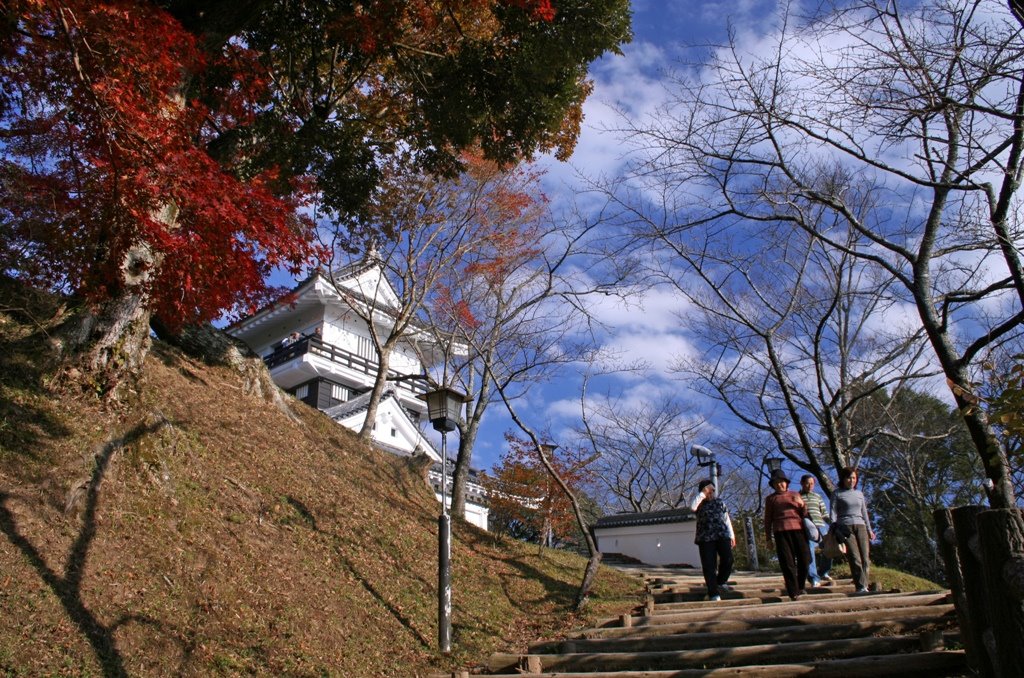 久留里城の秋１(Kururi castle in autumn) by Tomo Satoshy