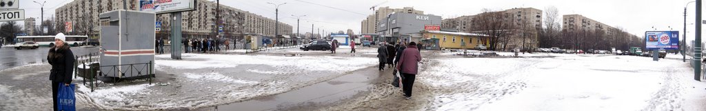 Вид на улицу Типанова, магазин "Кей" и проспект Космонавтов | View of the Tipanova street , shop "Key" and the prospectus of Cosmonauts by Blackdeshov