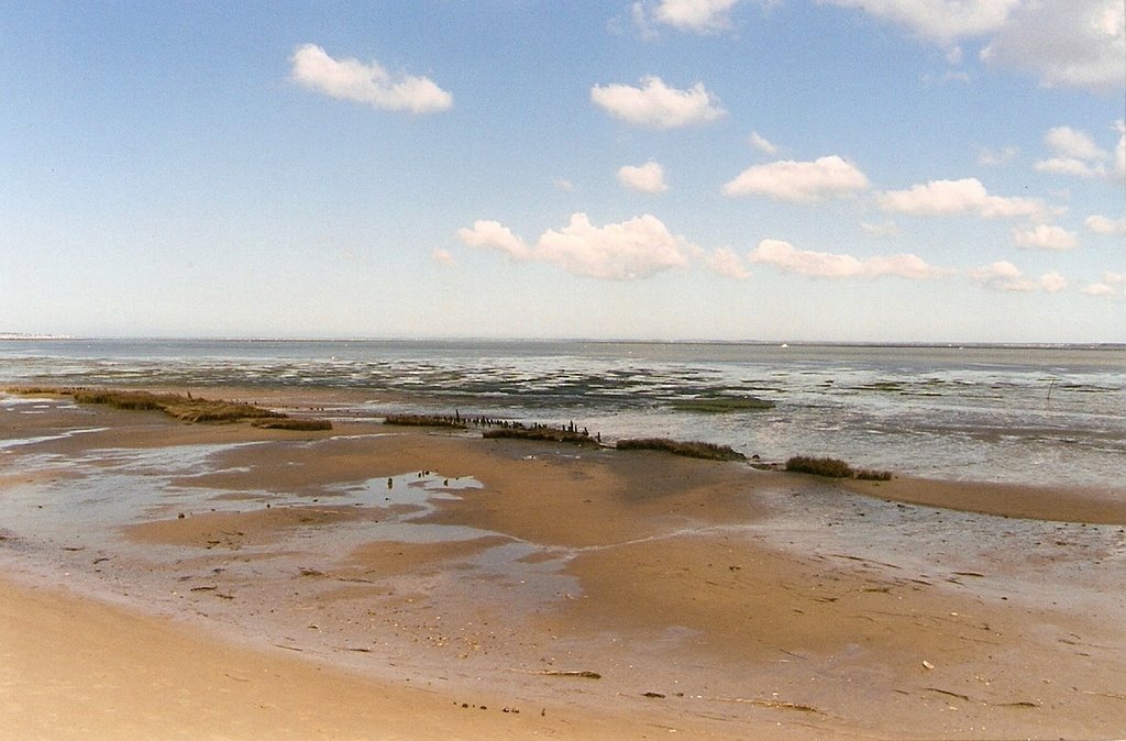 La baie d'Arcachon by Rudy Pické