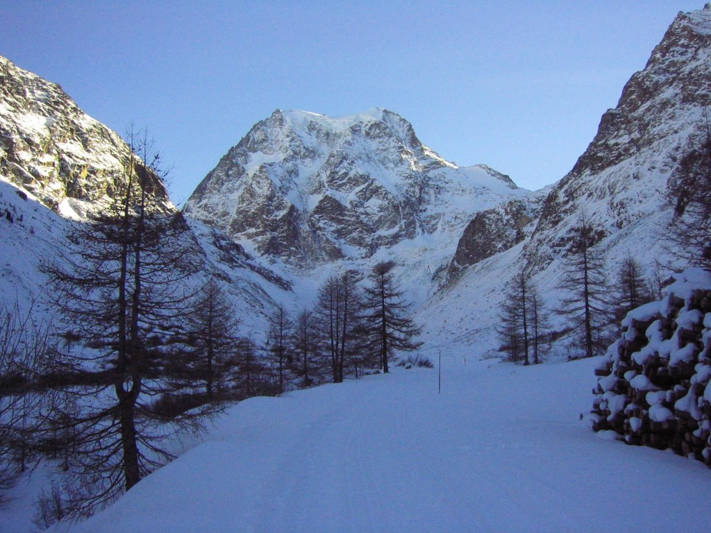 Le Mont Collon by Alain  Tesar