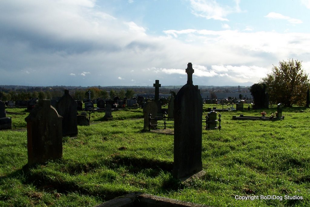 Milltown cemetery, Belfast by bodidog