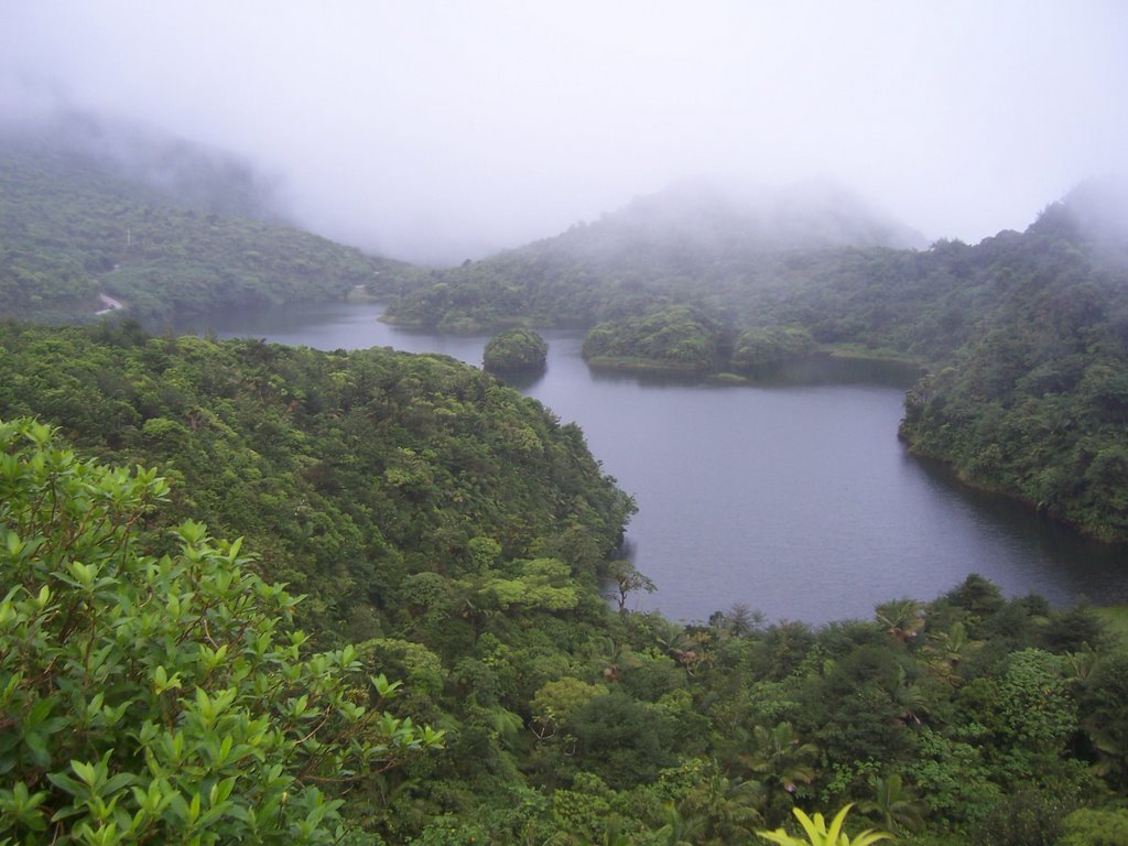 Fresh Water Lake by Yang