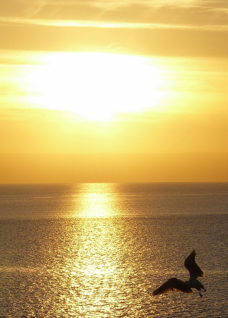 Severn Estuary. by A Davies