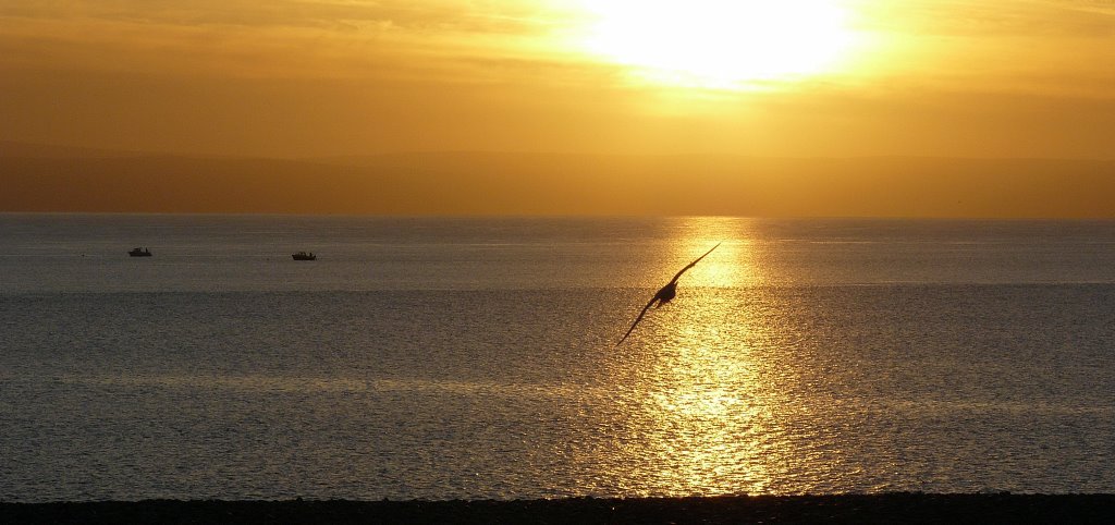 Severn Estuary. by A Davies