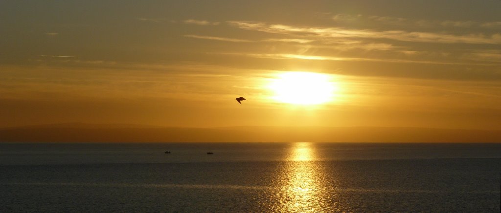 Severn Estuary. by A Davies