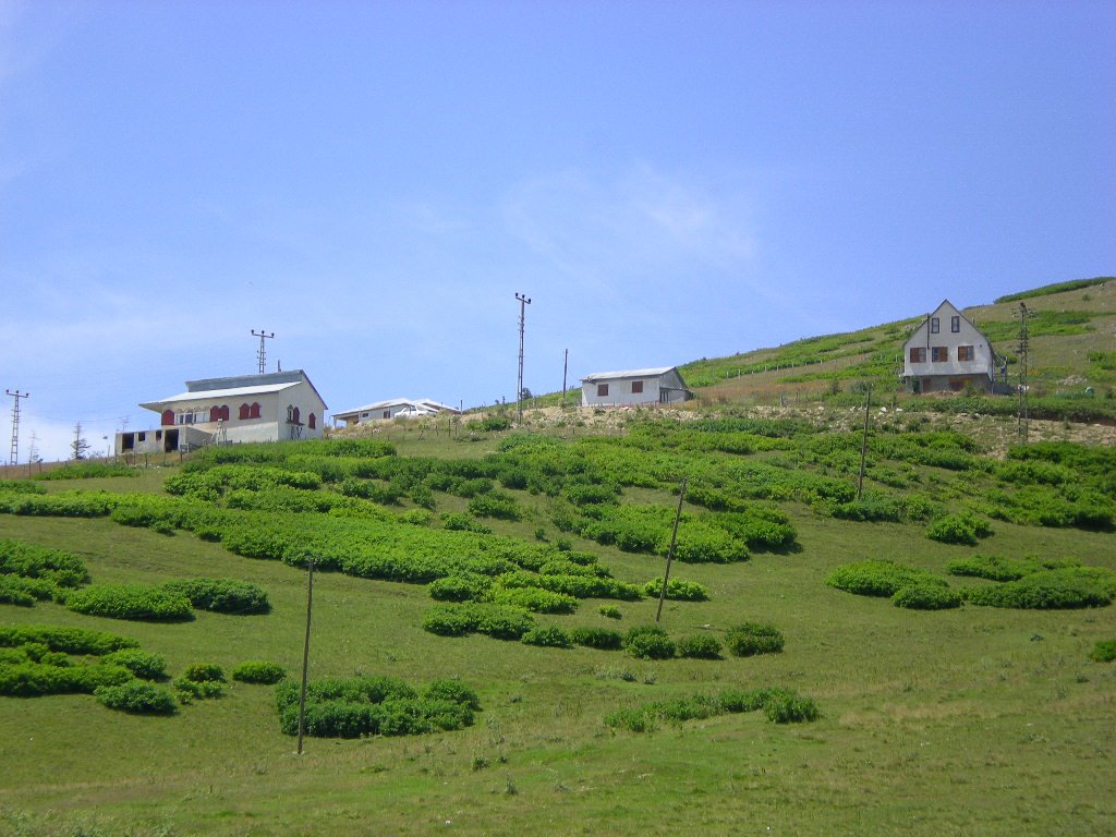 Çambaşı Yaylası-Mesudiye-ORDU/TURKEY by Sinan KARAPINAR