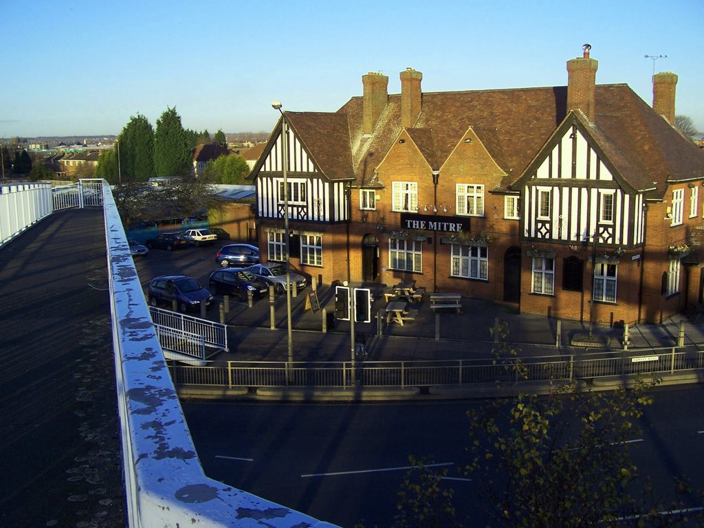 Spider Island Allenton North East by ♫ Russ Hamer