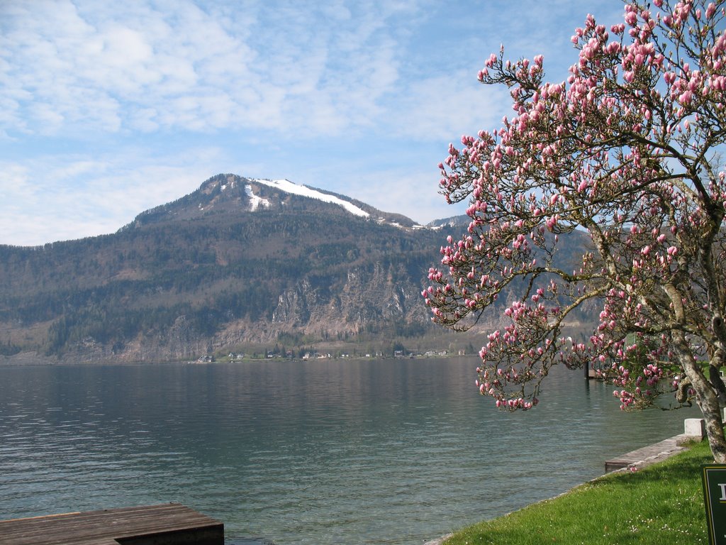 Austria,St.Gilgen- Ried(Wolfgangsee) by Vasil Glebovsky