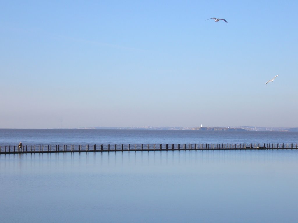 Looking towards Cardiff from Marine Lake in December by sarah2lane