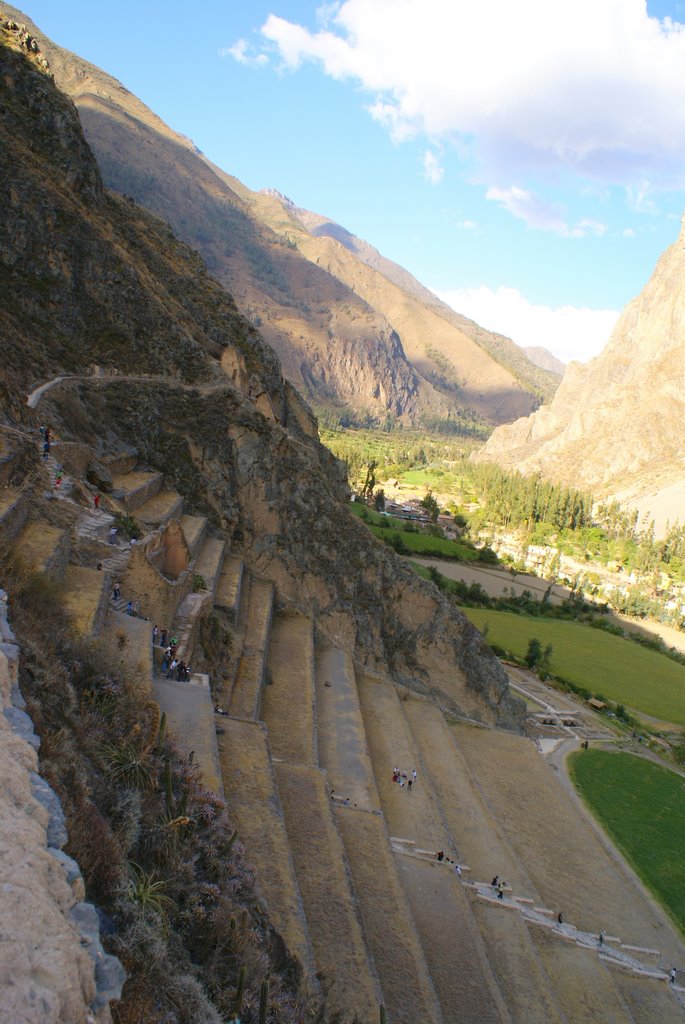 Andenes en Ollantaytambo by Enrique Hollmann