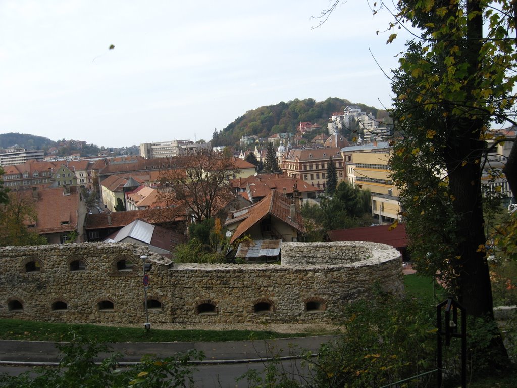 Old Brasov View by adrianzberea