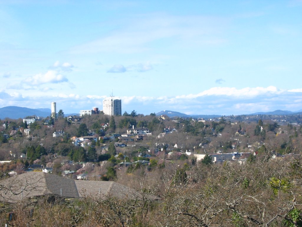 Looking North from Gonzales by doug_wilson