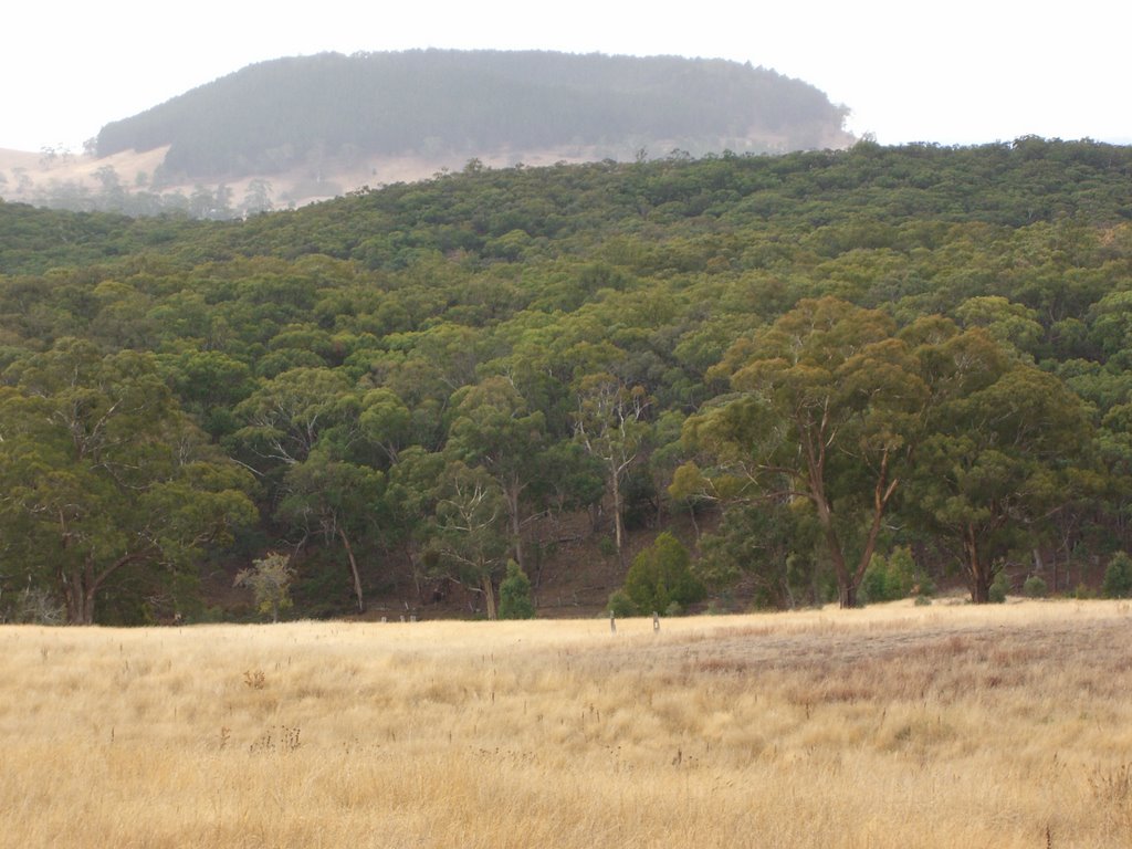 Mount Franklin by ambulator