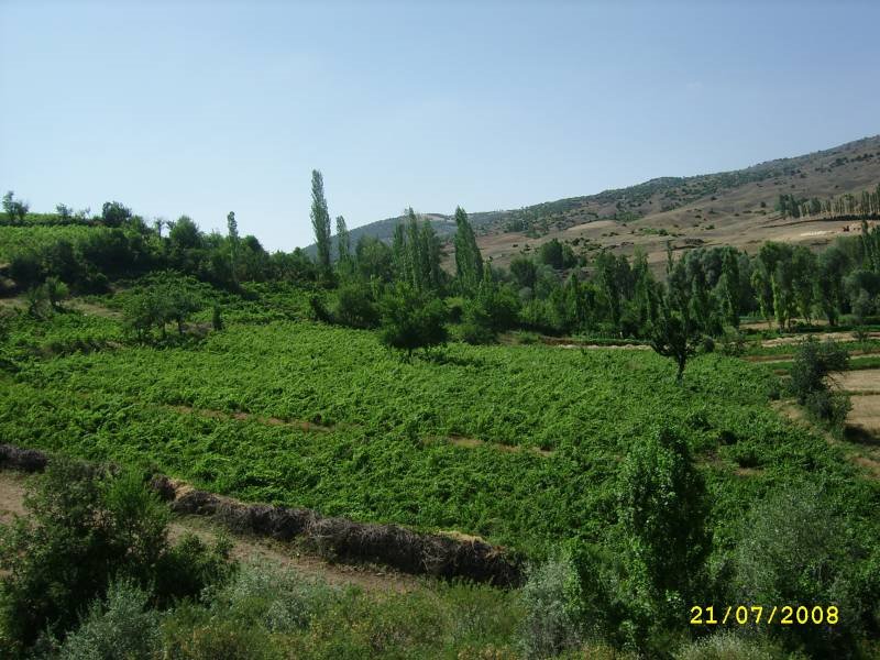 66500 Yukarıkarahacılı/Çekerek/Yozgat, Turkey by YOZGATLİ EMRAH