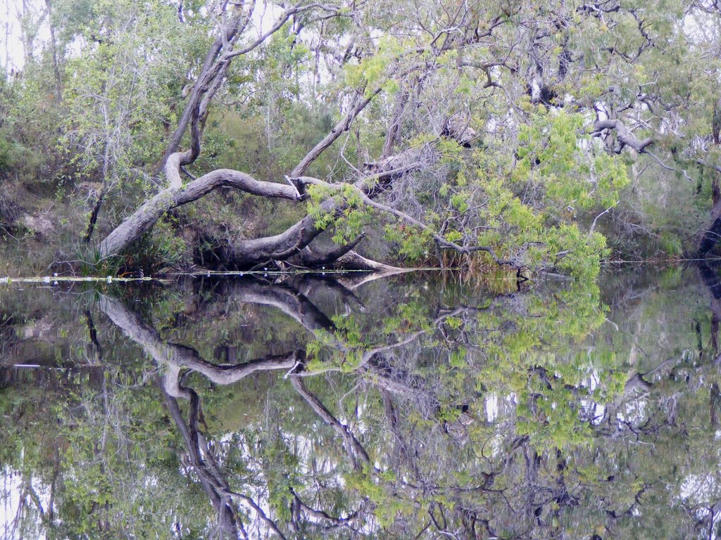 River Reflections on water smooth as glass by scml