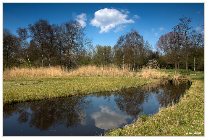 Heempark, zicht op het waterloopje by horsm